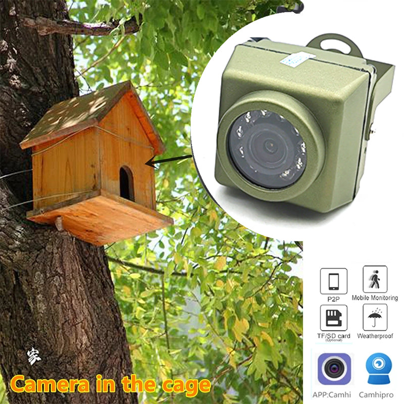 Bird Box Camera